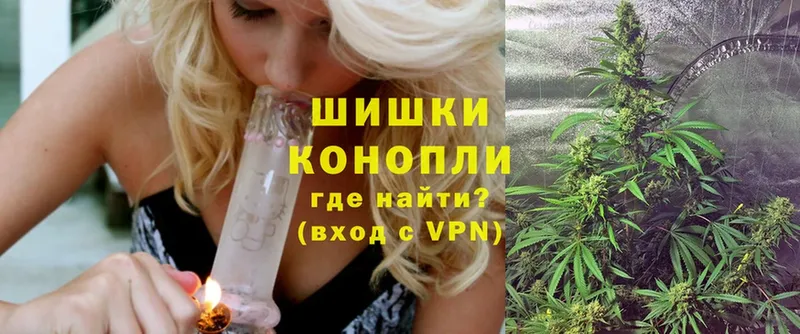 где можно купить наркотик  Заводоуковск  Бошки марихуана White Widow 